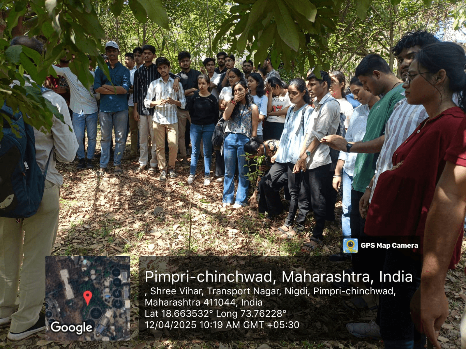 Pollution-Free Diwali